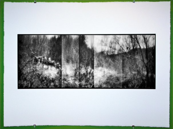 new-zone-plate-image1